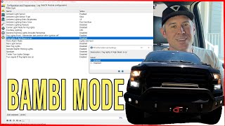 Bambi Mode Why You Should Activate It With Forscan