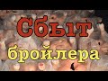 Сбыт бройлера / Выращивание содержание  бройлера кобб 500 в домашних условиях / бизнес на бройлерах