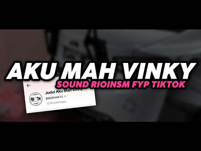 DJ AKU MAH VINKY SOUND RIOINSM FYP TIKTOK class=