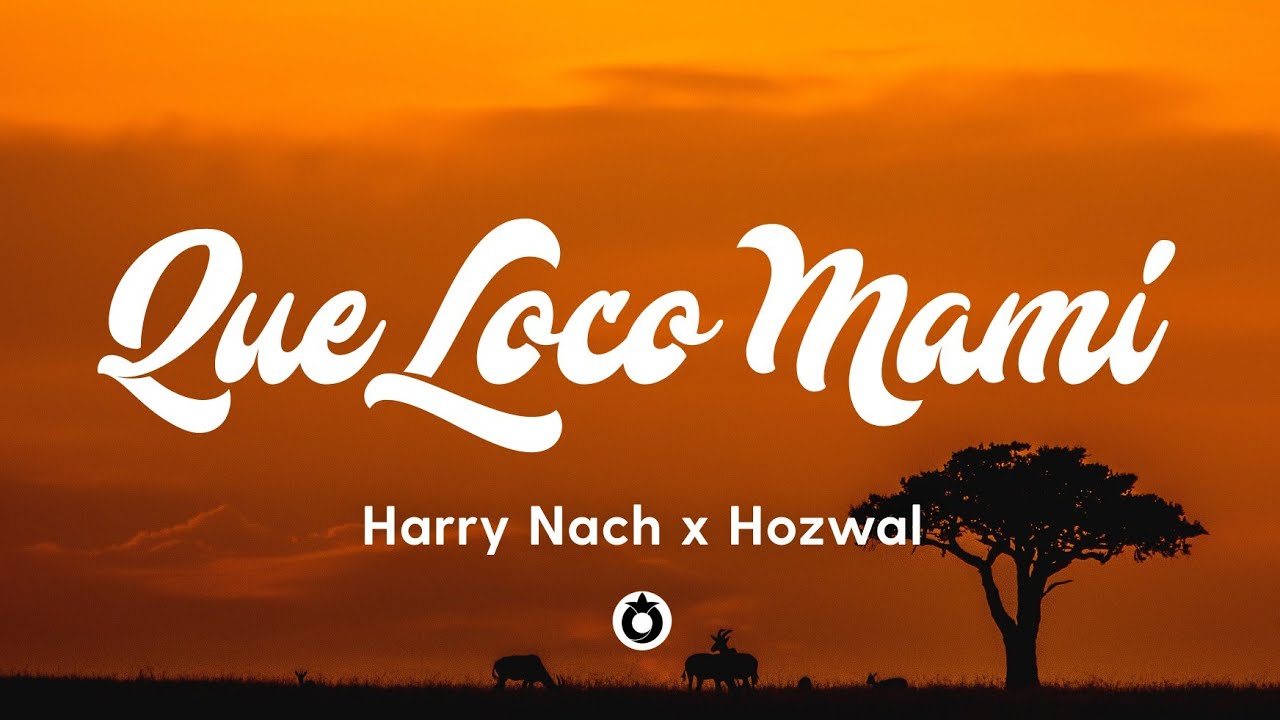Harry Nach x Hozwal - Que Loco Mami (Lyrics/Letra)