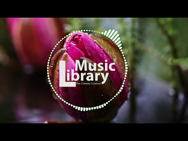 | Copyright Free Music | Water Lily Music | Music Library For Content Creators class=