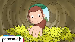 noisy neighbor curious george kids cartoon kids movies videos for kids