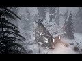 SUPER EXTREME COLD with UNUSUALLY EPIC BLIZZARD and snowstorm sounds 2025 for sleeping