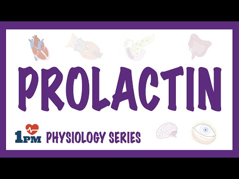 Video: Welke klier produceert prolactine?