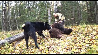 Добыл медведя. Нашел ловушку прадедов на крупного зверя. В избу таежную на горбу притащил генератор.