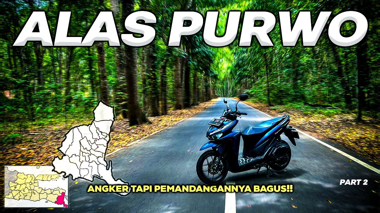 Motoran ke ALAS PURWO │ Hutan yang Katanya Paling Angker di Pulau Jawa !! (BWI #2)