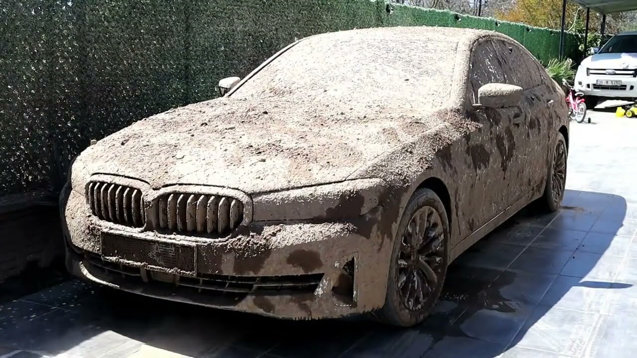I washed the car, which had been abandoned in nature for years