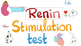 Renin Stimulation Test for Hyperaldosteronism - Primary Conn vs Secondary - Physiology Labs