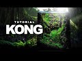 Kong  a mysterious lowtech nano jungle  aquascape tutorial for beginners