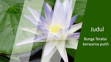 Tutorial Powerpoint I Cara Membuat Animasi Sliding Gleam dengan Powerpoint