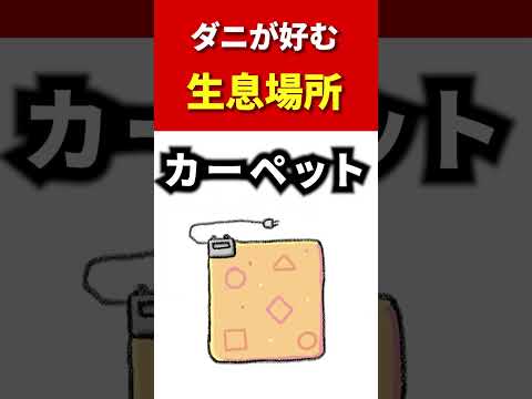 ローンスター・ティックからペットを守る5つの予防法【獣医師推奨】