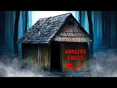 Video: Casa pacífica en Chile integra el bosque circundante