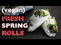 VEGAN SPRING ROLLS RECIPE | VIETNAMESE THAI RICE PAPER ROLLS + PEANUT SAUCE