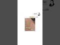 قفلت معاه