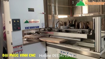 MÁY CƯA LỌNG CNC WOODMASTER WM-B1200