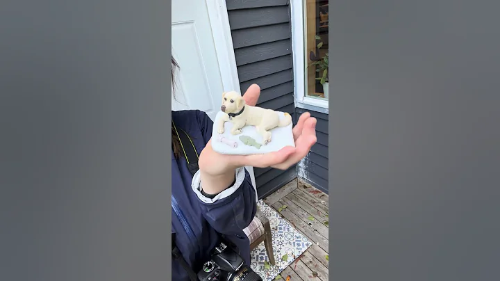 Here's how little and cute he is! - DayDayNews