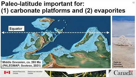 Data-driven prospectivity models for basin-hosted mineral systems and their critical raw materials