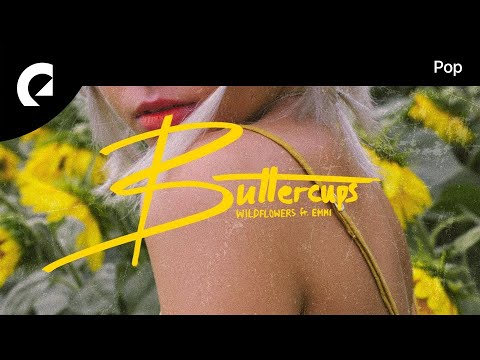 Wildflowers feat. Emmi - Got A Little Crush On You