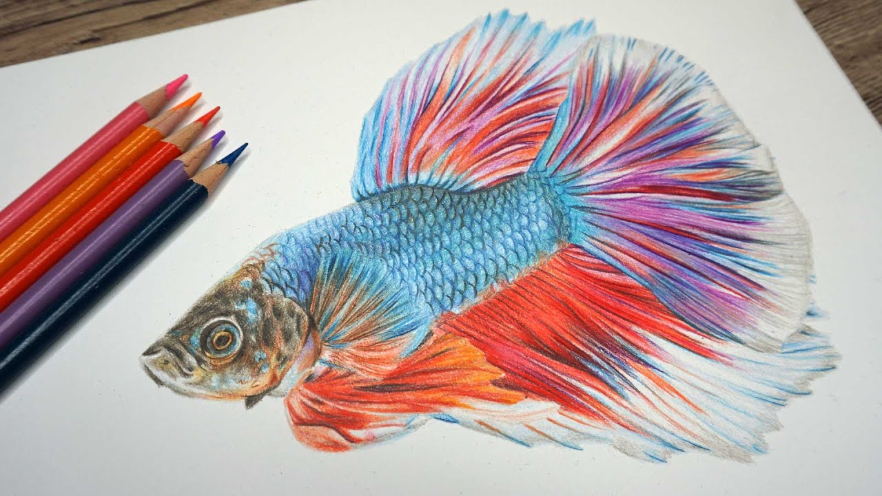 How To: Draw REALISTIC FISH SCALES - Prismacolor Colour Pencil