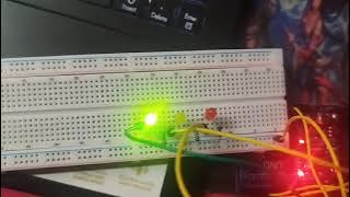 559062550 25243902951882837 3138081738384255606 n