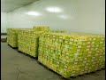 Unlocking the Sweetness: Exporting Mangoes from India | Mango Export Packing | Mango Export Business