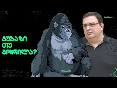 გუბაზი თუ გორილა?! //#სამნი \u0026 Co./ 25.10.2022