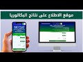 نتائج شهادة البكالوريا 2025 نتائج شهادة البكالوريا 2025