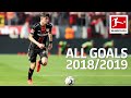 Kai Havertz - All Goals 2018/19