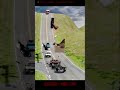 Moment before cooked BeamNG #beamng2 7 #car accident simulator#decompression#children's animatio