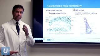 Optimizing Male Fertility | Jesse Mills, MD | UCLAMDChat