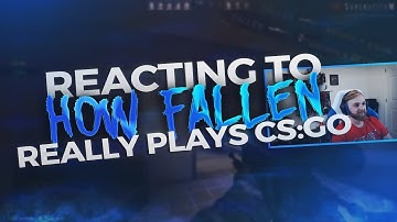n0thing REACTS TO "How FalleN Really Plays CS:GO"
