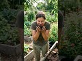 Asli vermi compost ki pehchan kaise krein|SHORTS|#gardening #plants #vermicompost #organic #fe