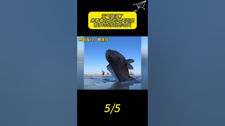 天气降温了！来看看北方的冬天到底有多冷#东北的冬天#南北差异#北方的冬天有多冷 5 #看一遍笑一遍 #搞笑 #人類迷惑行為