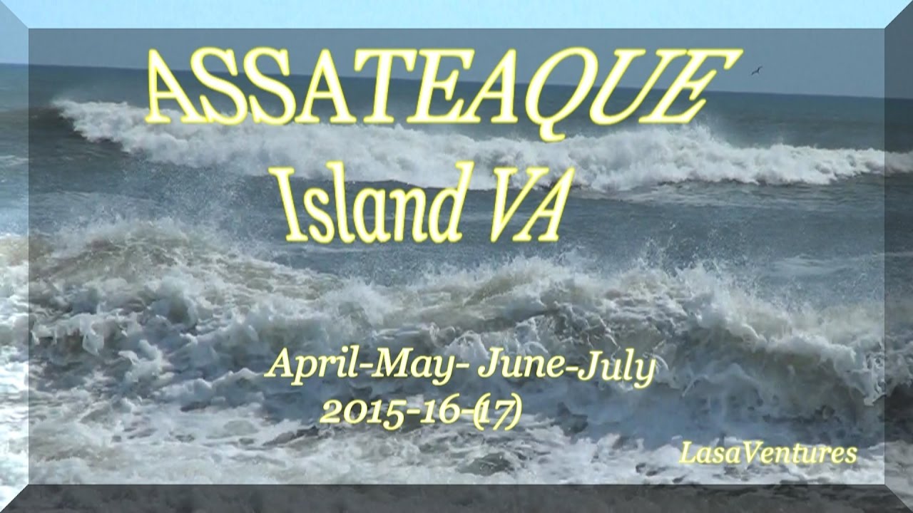 Assateaque Island VA April,May,June,July 2015,16,(17)LasaVentures