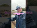 ギロチンを導入して2ヶ月...正直な感想をお話します...