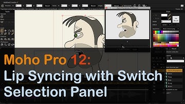 Moho Pro 12: Lip Syncing with Switch Selector