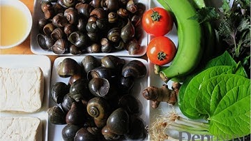 Hướng Dẫn Cách Nấu Món Bún Ốc Ngon Miệng Và Dễ Làm