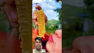 #reaction #shortsviral #facts #india #shortsfeed #usa #cartoon #asia #viral #viralvideo