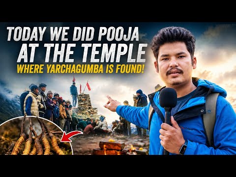 We Reached the Yarsagumba Region and Performed Pooja | Saipal Bajhang