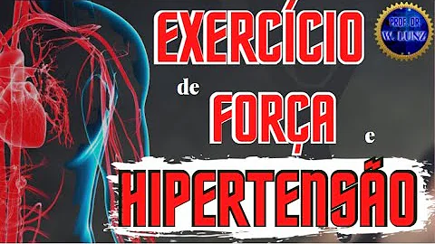 Quais são os 7 princípios do treinamento físico?