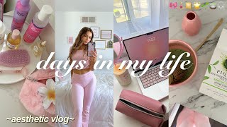 aesthetic vlog    productivity,  pottery painting, & cleaning