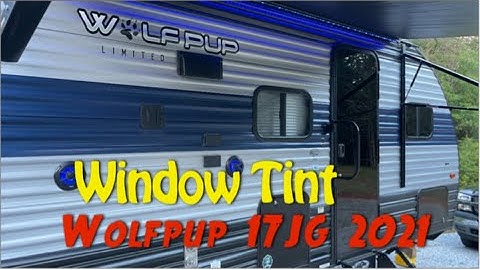 Window Tint Wolf Pup 17JG - 4K
