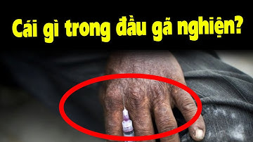 Điều gì xảy ra trong đầu mấy ông nghiện khi họ chích?