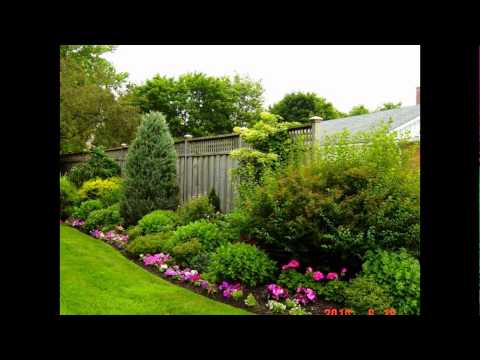 Backyard Landscaping Pictures