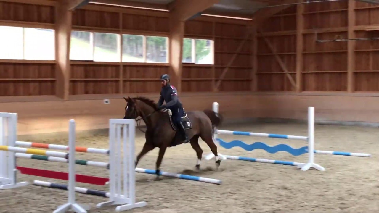 S4/ Springgymnastik Wolfgang Rust Livius Springtraining kleine Sprünge ...