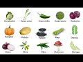 Learn All Vegetable Names From English To Pashto Ikram Khan 