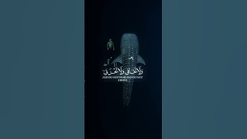 ياسر الدوسري سوره القصص اوحينا الى ام موسى