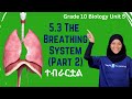 Grade 10 Biology Unit 5 5 3 The Breathing System Part 2 Saquama 