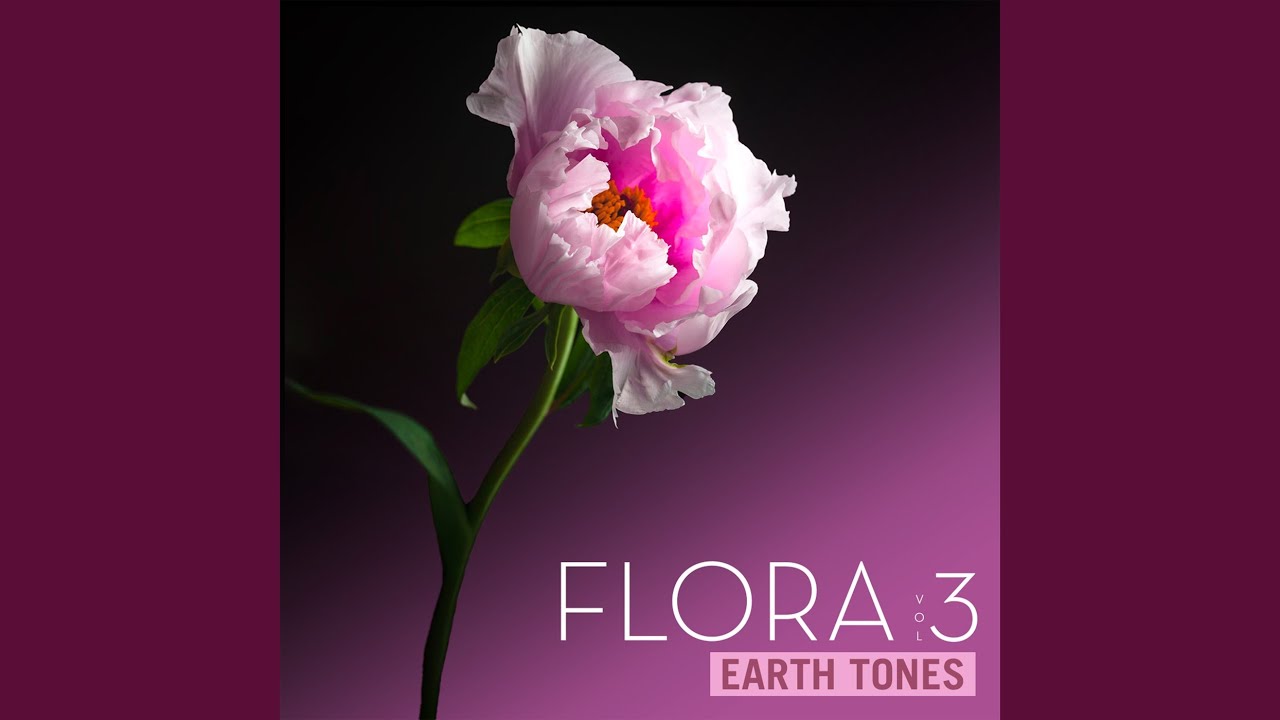 Watch Full Bloom Ahead on YouTube Watch Full Bloom Ahead on YouTube