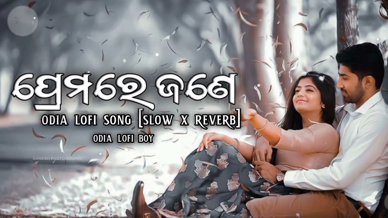 premare jane janaka bina ( slowed reverb ) lofi song | odia sad song lofi | 